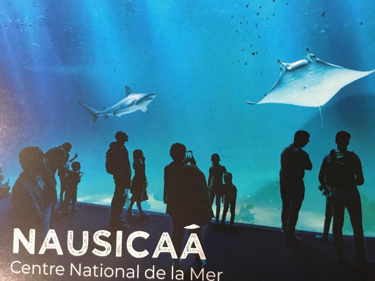 Studio " Escale En Bord De Mer " ヴィムルー エクステリア 写真